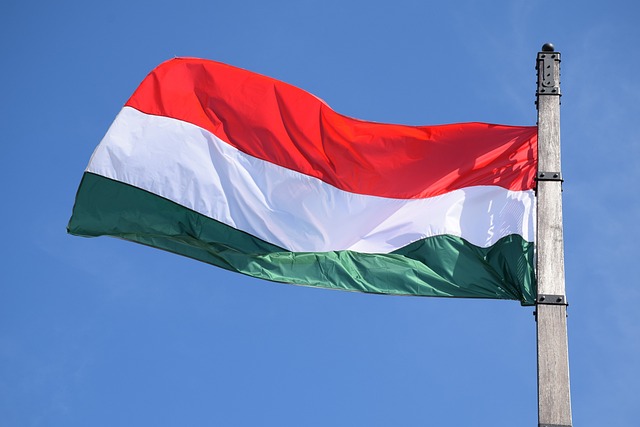 Külföldi lapok: a magyarok szenzációs győzelmet arattak, sokkolták az osztrákokat